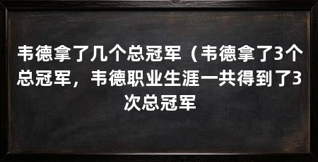 韦德拿了几个总冠军（韦德拿了3个总冠军，韦德职业生涯一共得到了3次总冠军