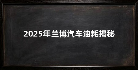 2025年兰博汽车油耗揭秘