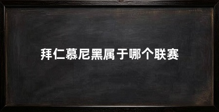 拜仁慕尼黑属于哪个联赛