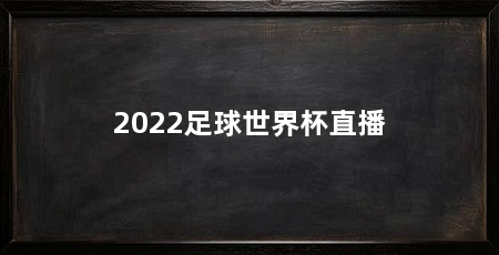2022足球世界杯直播