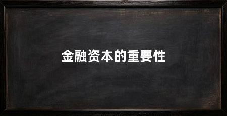 金融资本的重要性