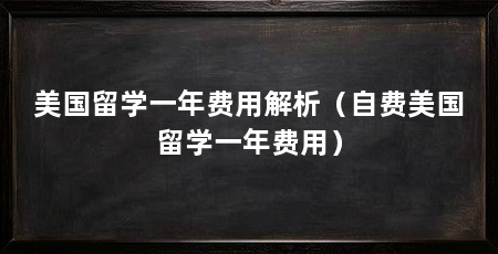 美国留学一年费用解析(自费美国留学一年费用)