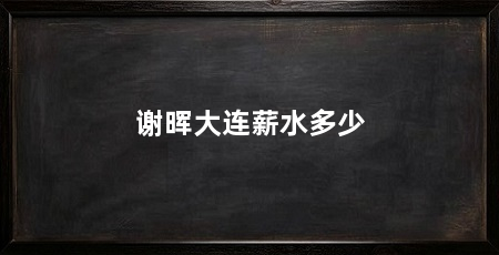 谢晖大连薪水多少