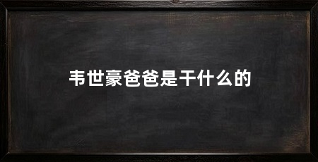 韦世豪爸爸是干什么的