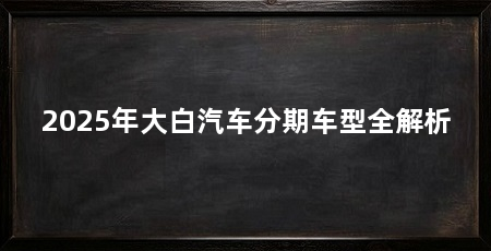 2025年大白汽车分期车型全解析