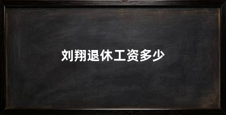 刘翔退休工资多少