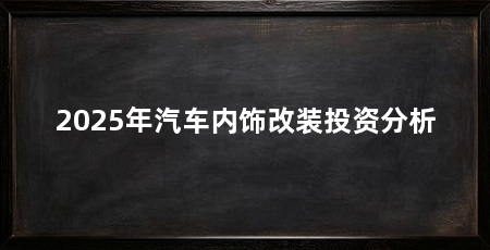 2025年汽车内饰改装投资分析