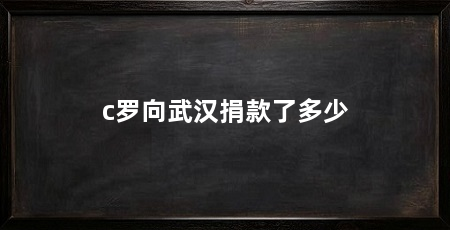 c罗向武汉捐款了多少