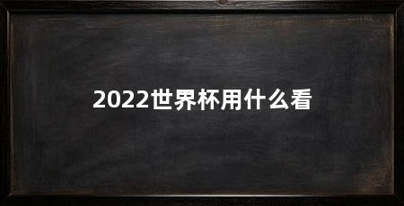 2022世界杯用什么看