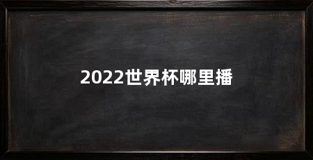 2022世界杯哪里播