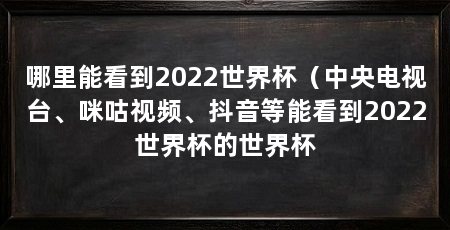 哪里能看到2022世界杯（中央电视台、咪咕视频、抖音等能看到2022世界杯的世界杯