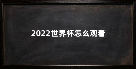 2022世界杯怎么观看