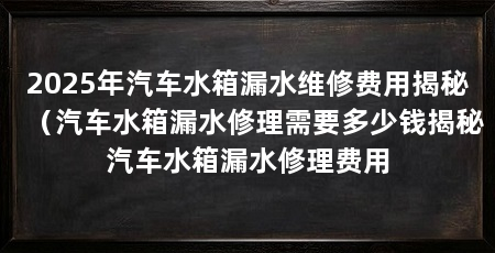 2025年汽车水箱漏水维修费用揭秘（汽车水箱漏水修理需要多少钱揭秘汽车水箱漏水修理费用