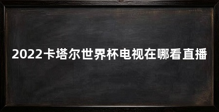 2022卡塔尔世界杯电视在哪看直播