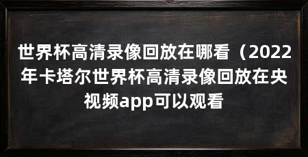 世界杯高清录像回放在哪看（2022年卡塔尔世界杯高清录像回放在央视频app可以观看
