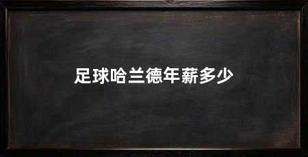 足球哈兰德年薪多少