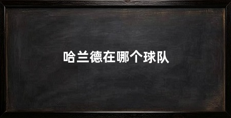 哈兰德在哪个球队