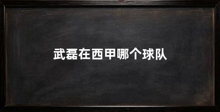 武磊在西甲哪个球队