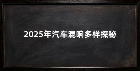 2025年汽车混响多样探秘