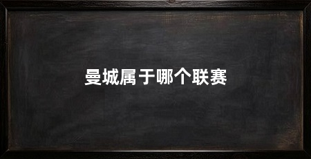 曼城属于哪个联赛