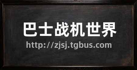 巴士战机世界
