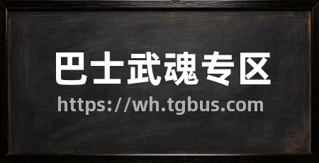 巴士武魂专区