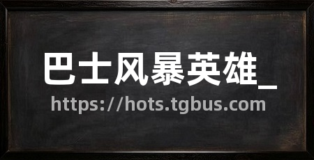 巴士风暴英雄_