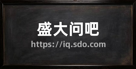 盛大问吧