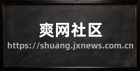 爽网社区