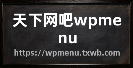 天下网吧wpmenu