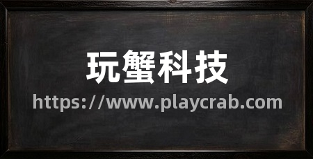 玩蟹科技