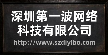 深圳第一波网络科技有限公司