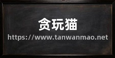 贪玩猫