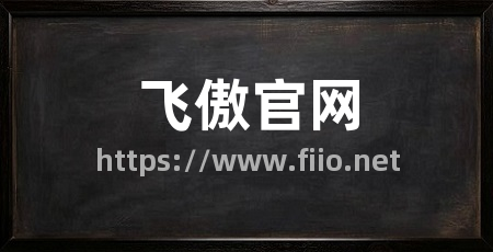 飞傲官网