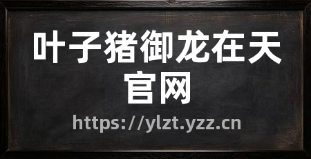叶子猪御龙在天官网