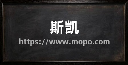 斯凯