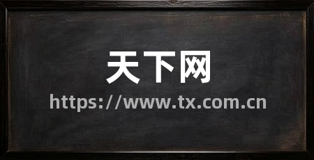 天下网