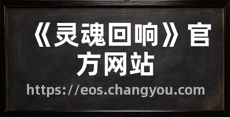 《灵魂回响》官方网站