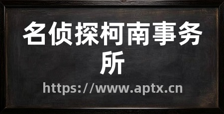 名侦探柯南事务所