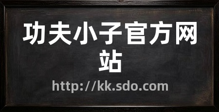 功夫小子官方网站