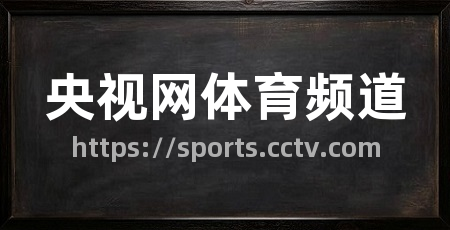 央视网体育频道