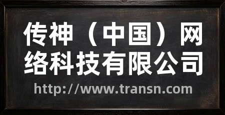 传神(中国)网络科技有限公司