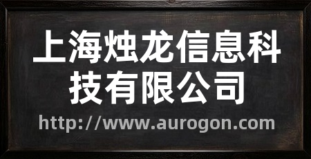 上海烛龙信息科技有限公司