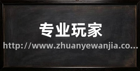 专业玩家