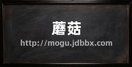 蘑菇