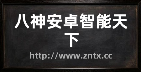 八神安卓智能天下