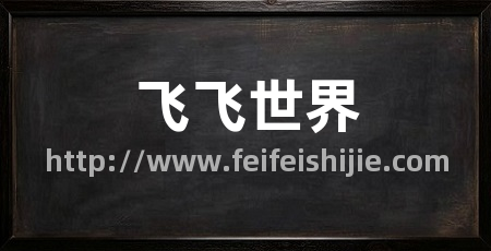 飞飞世界