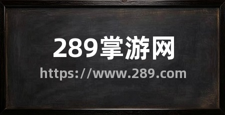289掌游网