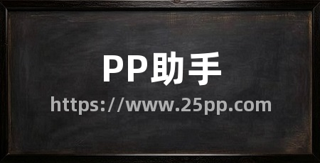 PP助手