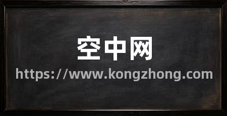 空中网